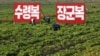 적십자 '올해 북한 수확, 2% 감소'