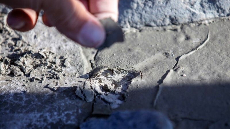 Melting Glaciers Uncover Nutrient-Rich Soil