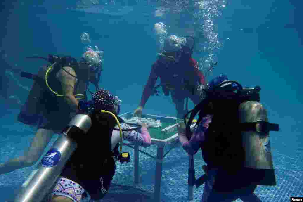 Divers play Mahjong underwater during a local contest in Chongqing, China, Aug. 7, 2016.