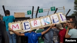 Macarıstan-Serbiya sərhədinə toplaşmış miqrantlar əllərində "Merkel" yazılmış plakat tutub
