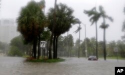 Heavy rains flood the streets in the Coconut Grove area in Miami, Sept. 10, 2017, during Hurricane Irma.