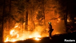 A firefighting crew watches a back fire after sunset on the Rim Fire near Buck Meadows, California, Aug. 22, 2013.