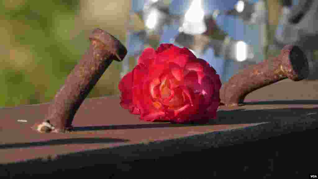 有人為世貿中心殘餘的鋼樑獻上玫瑰（美國之音國符拍攝）