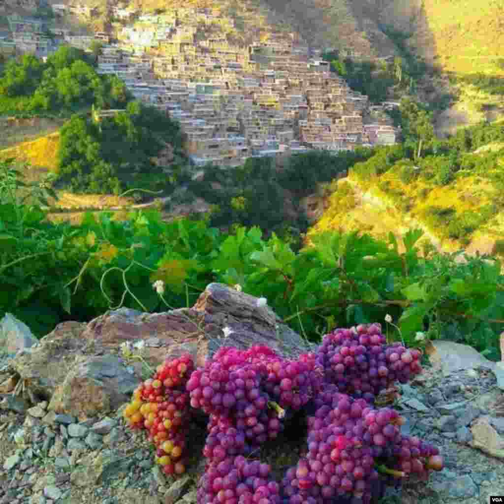 روستای زونج _کردستان ایران عکس: فردین (ارسالی شما)