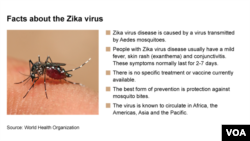 Zika: Key facts