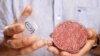 Ilmuwan Belanda Ciptakan Daging Burger di Laboratorium