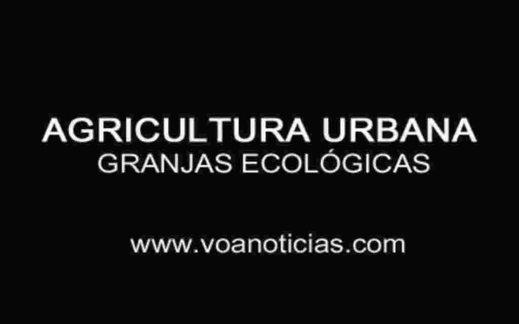 Agricultura urbana: granjas ecológicas en DC