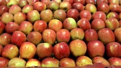 Arhiva - Plodovi jabuka (Foto: Rojters)