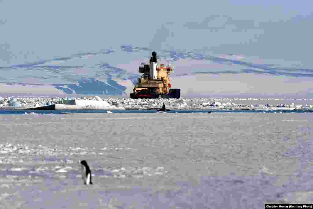 IceCube used icebreakers to deliver heavy equipment from Sweden to the coast of Antarctica. (Chadden Hunter)