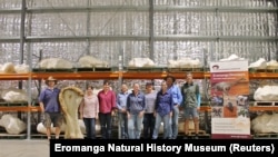 Il team di ricerca posa con un osso di "Bottaio" (Museo di storia naturale di Eromanga/Dispensa via Reuters)