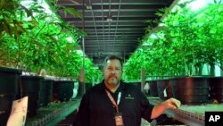 Andy Williams, founder and CEO of Medicine Man Denver in Denver, Jan. 4, 2018. Colorado's top federal prosecutor said his office won't alter its approach to enforcing marijuana crimes after U.S. Attorney General Jeff Sessions withdrew a policy Thursday that allowed pot markets to emerge in states that legalized the drug.