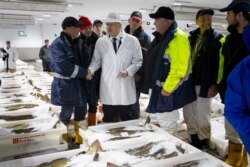 Perdana Menteri Inggris Boris Johnson mengunjungi Pasar Ikan Peterhead di Peterhead, Skotlandia, Inggris, 6 September 2019.(Foto: Reuters)