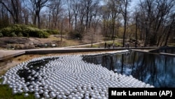 Yayoi Kusama's installation of floating orbs, "Narcissus Garden," is displayed at the New York Botanical Garden, Thursday, April 8, 2021 in New York.