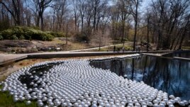Yayoi Kusama's installation of floating orbs, 