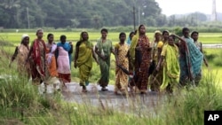 Indian women laborers return after a days work at a paddy field. Indians have been desperately waiting for the long-delayed deluge of this year's monsoon, July 24, 2012.