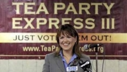 More Wins for Tea Party Activists