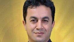 Dr. Samî Rêkanî, Şirovekar Û mamstayê Zanîngehê
