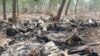 Cameroon Military to Hunt Down Elephant Poachers