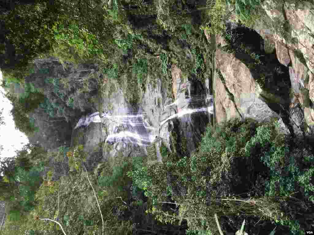 یک آبشار به نسبت بزرگ در جنگل بارانی تیجوکا در ریو
