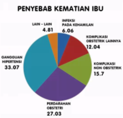 Grafik Penyebab Kematian Ibu. (Sumber: GPPI)