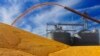 Toxin in Corn Adds to Woes of US Farmers, Ethanol Makers