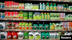 Weedkillers including Monsanto's RoundUp are for sale at a garden shop at Bonneuil-Sur-Marne near Paris, France, June 16, 2015. French Environment and Energy Minister Royal has asked garden shops to stop over-the-counter sales of Monsanto's RoundUp as part of a wider fight against pesticides.