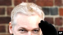 WikiLeaks founder Julian Assange