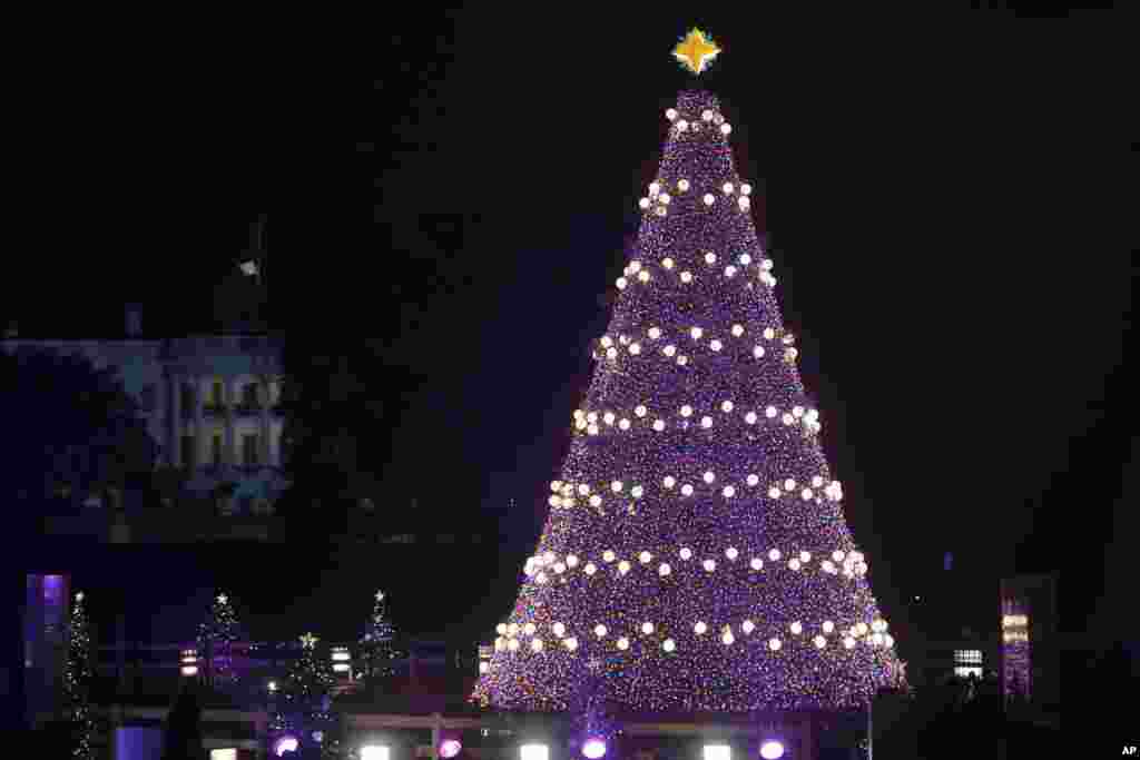 El árbol navideño y al fondo la Casa Blanca.