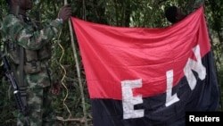 哥倫比亞游擊組織民族解放軍（ELN）在哥倫比亞西北部林區豎起一道旗幟。 （2017年8月30日）