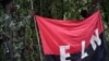 Colombia's ELN Rebels Call Cease-Fire for Festive Period