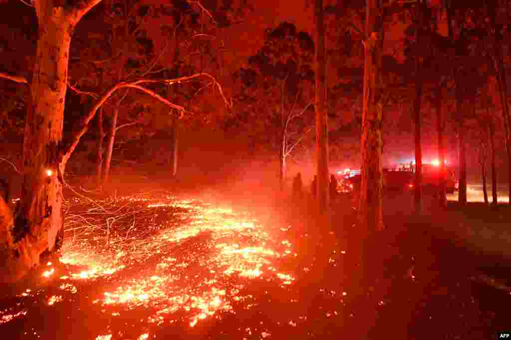 Burning embers cover the ground as firefighters (back R) battle against bushfires around the town of Nowra in the Australian state of New South Wales.