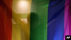 FILE - A person poses with the rainbow flag symbolic of LGBT rights. A TV host in Egypt has been sentenced to prison for interviewing a gay sex worker on his show in August 2018.