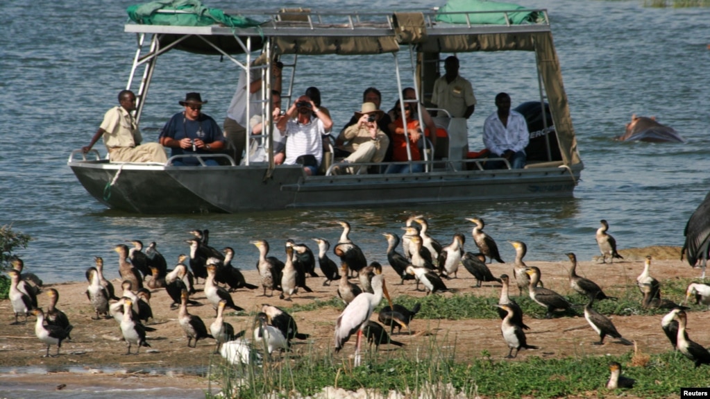 Du khách ngắm chim tại công viên Quốc gia Queen Elizabeth, tây Uganda, ngày 2/4/2009.