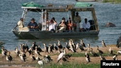 Los secuestros en las zonas naturales protegidas de Uganda son poco frecuentes. El parque nacional Queen Elizabeth, en el suroeste del país, es un popular destino para los aficionados a los safaris.