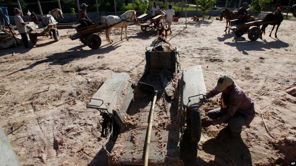 Cambodian workers use horse drawn carts for carrying sand to be used for construction through village of Samor Kroam, in Takeo province southwest of Phnom Penh, Cambodia, Tuesday, Dec. 9, 2014. (AP Photo/Heng Sinith)