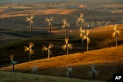 미국 캘리포니아주 앨트몬트패스의 풍력발전단지에서 풍력 터빈이 전기를 생산하고 있다.