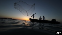 An Emirati fisherman throws his net near Mirfa, near the coast of the capital Abu Dhabi on April 19, 2019. 