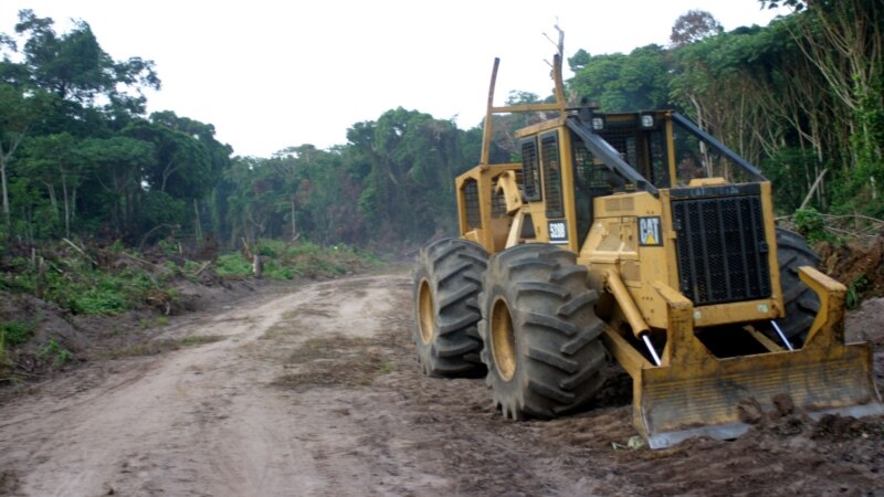 Greenpeace appelle au boycott des blocs pétroliers mis aux enchères par Kinshasa