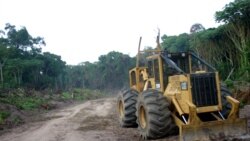 A logging company's machinery sits on the side of a road that has been cut into Congo's forest in the northern province of Equateur on October 8, 2004. (REUTERS/David Lewis/File Photo)