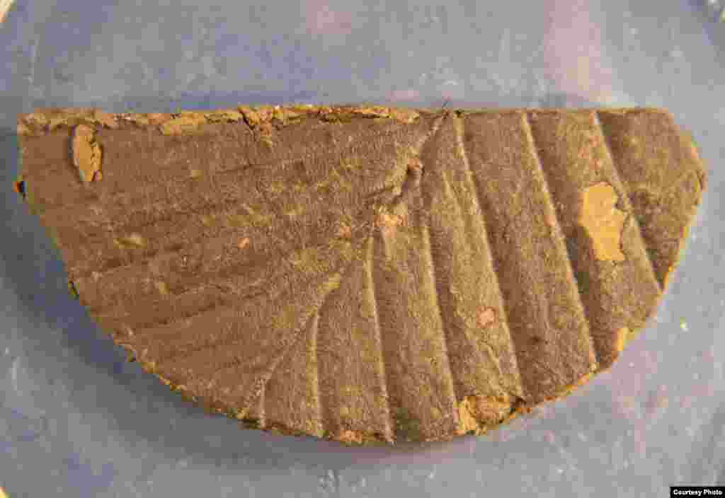 This 33,800 year-old leaf dated by radiocarbon found in Lake Suigetsu sediment extends radiocarbon dating by thousands of years. (Credit: Richard Staff)