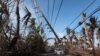 Whitefish Controversy Threatens to Derail Efforts to Restore Power to Puerto Rico