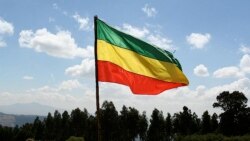 የሀገሪቱ ሰንደቅ ዓላማ ወደ ቀድሞ መልኩ እንዲመለስ ጥሪ ቀረበ