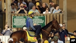 El favorito del Kentucky Derby, el potro de dos años Bodemeister quedó en segundo lugar en Churchill Downs.