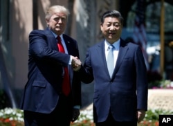 도널드 트럼프 미국 대통령(왼쪽)과 시진핑 중국주석이 지난 7일 미국 플로리다 주 팜비치에서 정상회담을 가진 후 악수하고 있다.