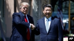 도널드 트럼프 미국 대통령(왼쪽)과 시진핑 중국주석이 7일 미국 플로리다 주 팜비치에서 정상회담을 가진 후 악수하고 있다. 