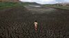 Dam Failure Delays Water Canal to Drought-hit Northeast Brazil