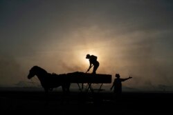 A woman gestures as a man unloads his horse-drawn cart of the catch brought by fishermen at Bargny beach, some 35 kilometers (22 miles) east of Dakar, Senegal, Thursday April 22, 2021.
