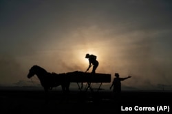 A woman gestures as a man unloads his horse-drawn cart of the catch brought by fishermen at Bargny beach, some 35 kilometers (22 miles) east of Dakar, Senegal, Thursday April 22, 2021.