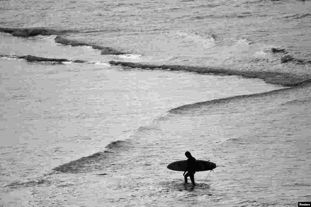 A surfer carries his board in the ocean after Bondi Beach reopened following a five week closure in Sydney, Austalia, amid the COVID-19 pandemic.