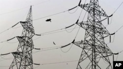 Birds sit on high voltage electricity towers on the outskirts of New Delhi (April 2010 file photo)